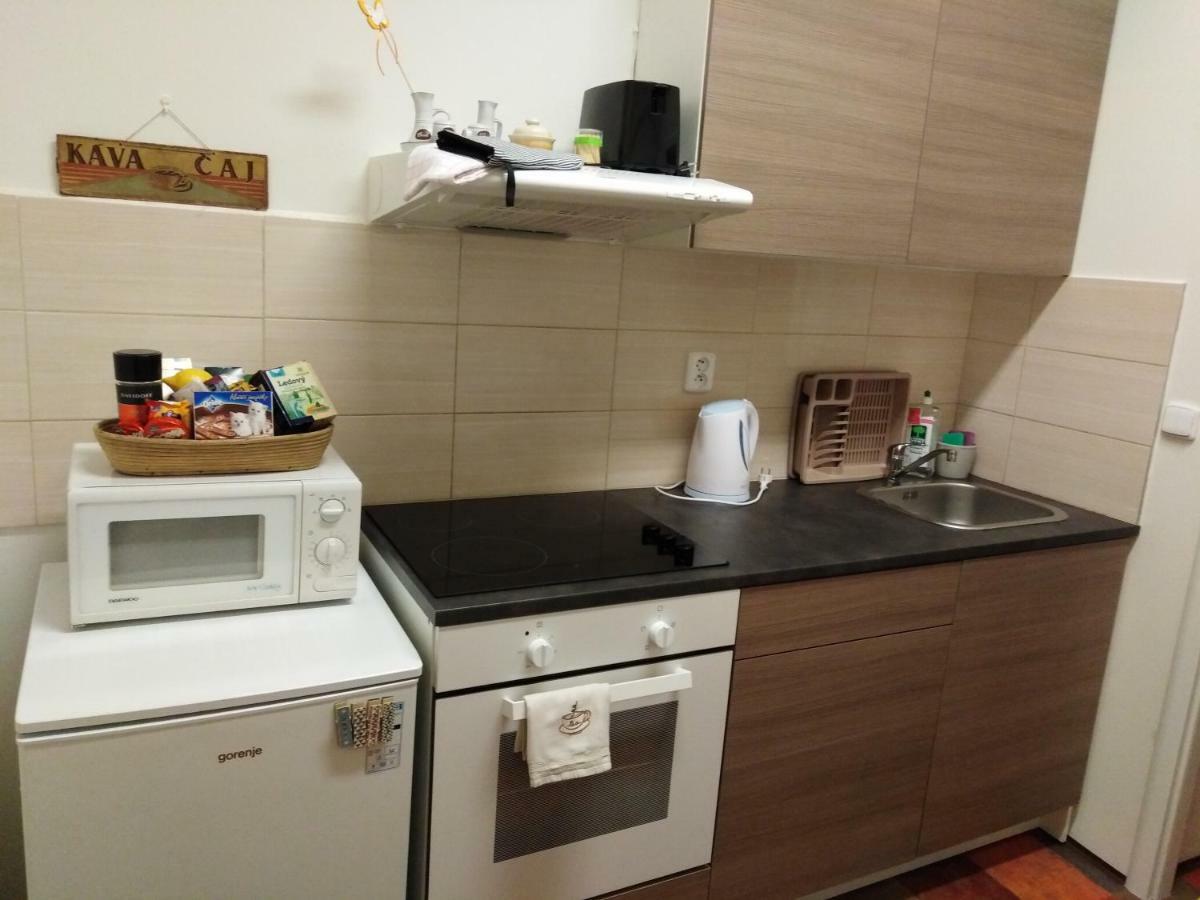 Apartamento Husitska 114/74 *