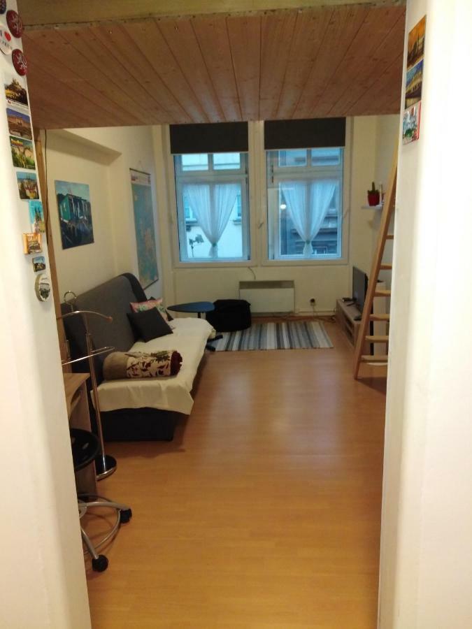 Apartamento Husitska 114/74